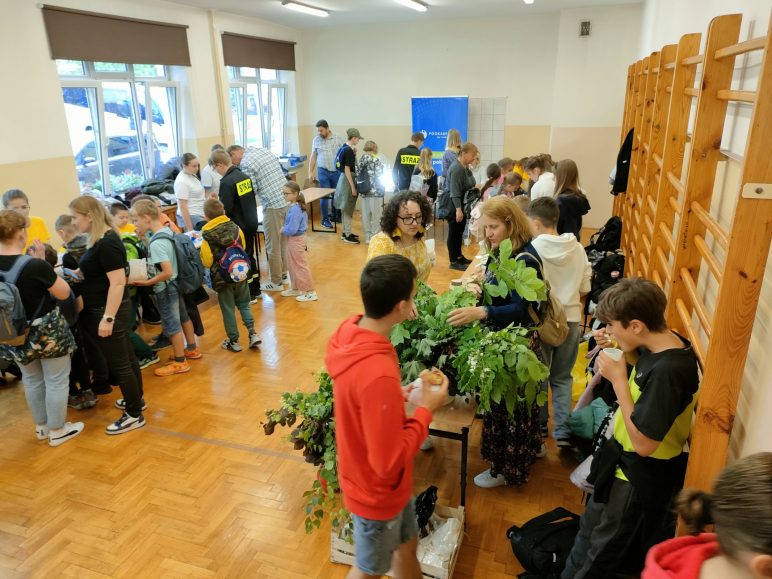 gallery